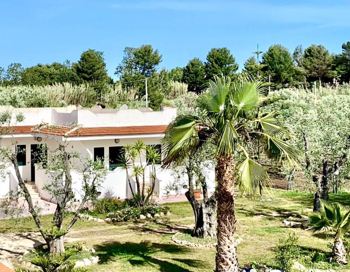 Villa Angela Case Vacanza Vieste Exterior photo